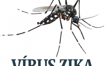 Zika